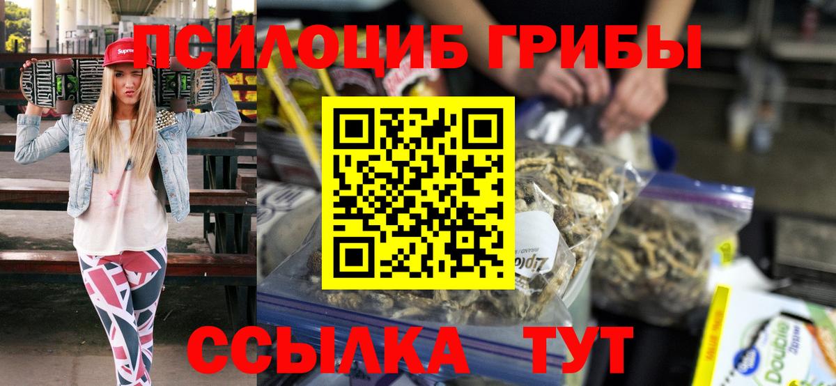 Псилоцибиновые грибы прущие грибы Камышлов