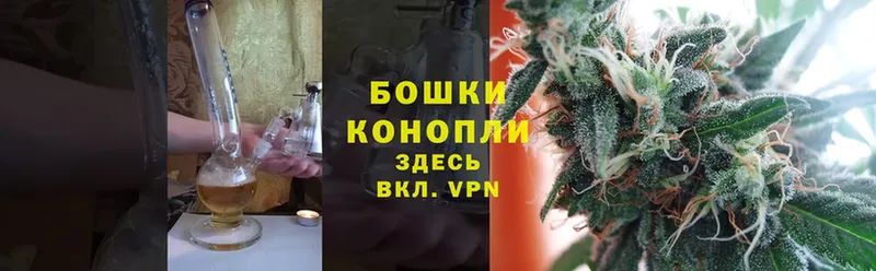 Канабис White Widow  сколько стоит  Камышлов 